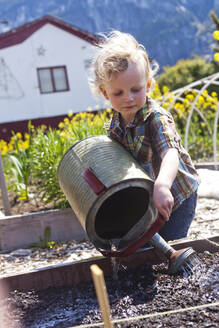 Caucasian boy watering plants in garden - BLEF12136