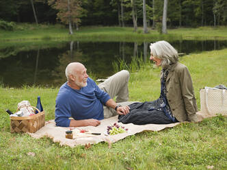 Älteres Paar entspannt sich beim Picknick im Park - BLEF12172
