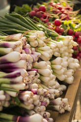 Nahaufnahme von frischem Obst und Gemüse zum Verkauf auf dem Markt - BLEF12215