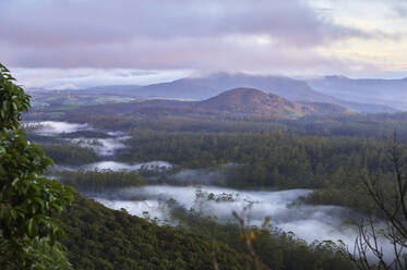 Sonnenaufgang an der Grenze zum Horton Plains National Park, Nuwara Eliya, Sri Lanka - CVF01344