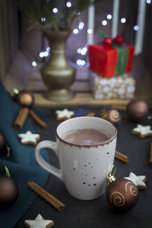 Eine Tasse heiße Schokolade zur Weihnachtszeit - JUNF01691