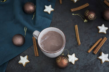 Eine Tasse heiße Schokolade zur Weihnachtszeit - JUNF01693