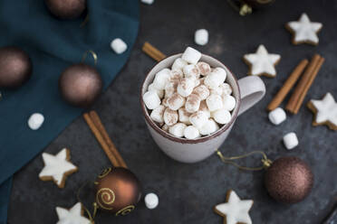 Eine Tasse heiße Schokolade mit Marshmellows zur Weihnachtszeit - JUNF01696