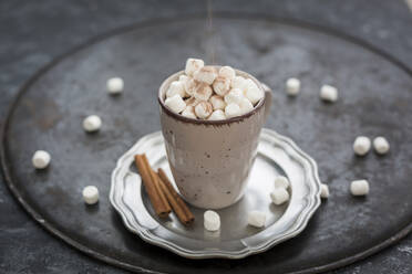 Kakaopulver auf eine Tasse heiße Schokolade mit Marshmellows streuen - JUNF01702