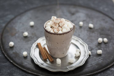 Sprinkling cocoa powder on cup of Hot Chocolate with marshmellows - JUNF01702