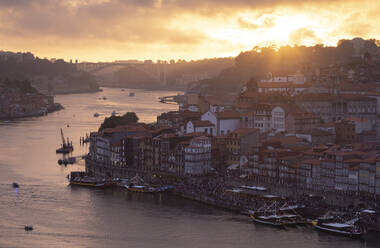 Blick über Porto und den Fluss Douro in der Abenddämmerung, Portugal - FCF01793