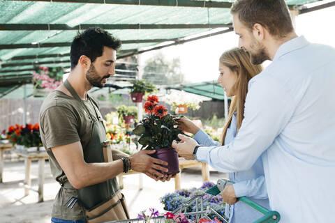 Arbeiter in einem Gartencenter, der den Kunden eine Pflanze zeigt, lizenzfreies Stockfoto