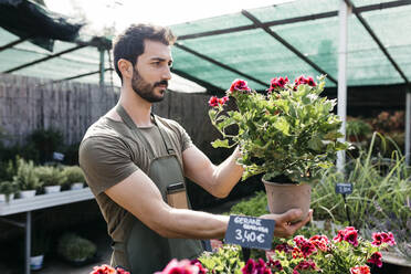 Arbeiter in einem Gartencenter bei der Pflege einer Blume - JRFF03451