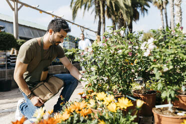 Arbeiter in einem Gartencenter bei der Pflege einer Blume - JRFF03456