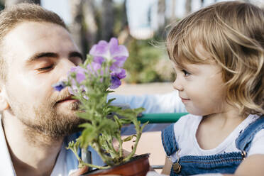 Father and daughter smelling at flower in a garden center - JRFF03461