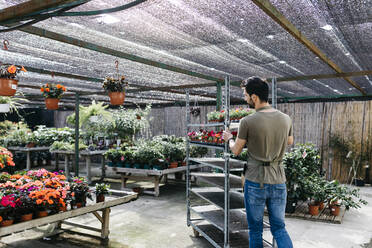 Worker in a garden center pushing a cart with plants - JRFF03471