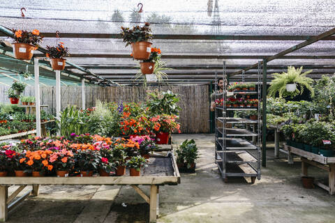 Arbeiter in einem Gartencenter, der einen Wagen mit Pflanzen schiebt, lizenzfreies Stockfoto