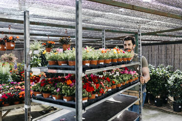 Arbeiter in einem Gartencenter, der einen Wagen mit Pflanzen schiebt - JRFF03474