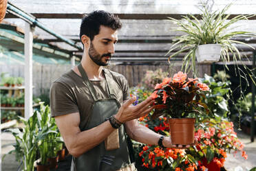 Arbeiter in einem Gartencenter bei der Pflege einer Blume - JRFF03475