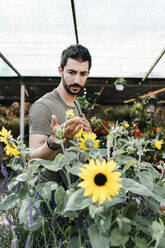Arbeiter in einem Gartencenter bei der Kontrolle einer Sonnenblume - JRFF03481
