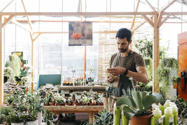 Arbeiter in einem Gartencenter mit einem Pflegemittel für Kakteen - JRFF03483