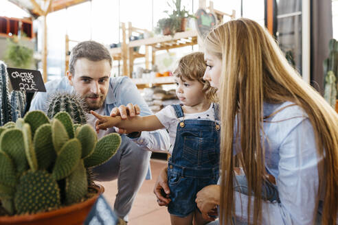 Mutter, Vater und Tochter in der Kakteenabteilung eines Gartencenters - JRFF03486