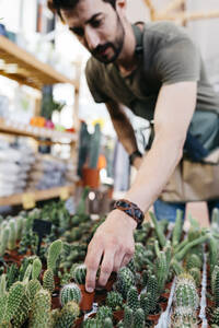 Arbeiter in einem Gartencenter, der einen Kaktus aufhebt - JRFF03496