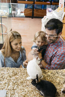 Glückliche Familie, die sich Kaninchen in einer Zoohandlung ansieht - JRFF03499