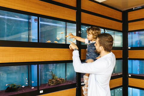 Vater und Tochter sehen sich in einer Zoohandlung Fische an, lizenzfreies Stockfoto