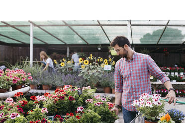 Customer of a garden center choosing a flower - JRFF03509