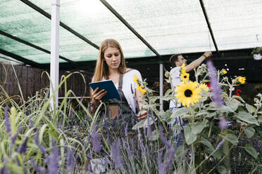 Weibliche Mitarbeiterin in einem Gartencenter mit einem Tablet bei der Pflege von Blumen - JRFF03510