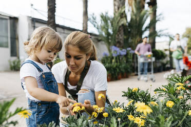 Mitarbeiterin eines Gartencenters zeigt einem kleinen Mädchen Blumen - JRFF03530