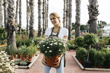 Porträt einer lächelnden Mitarbeiterin in einem Gartencenter, die eine Gänseblümchenpflanze hält - JRFF03532