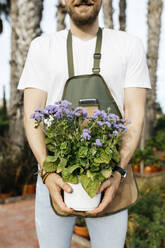 Nahaufnahme eines Arbeiters in einem Gartencenter, der eine Fliederpflanze hält - JRFF03537