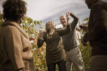 Freunde trinken Wein im Weinberg - BLEF12304