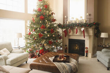 Weihnachtsbaum und Dekoration im Wohnzimmer - BLEF12312