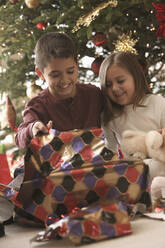 Kinder öffnen am Weihnachtsmorgen ihre Geschenke - BLEF12317