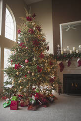 Weihnachtsbaum und Dekoration im Wohnzimmer - BLEF12319