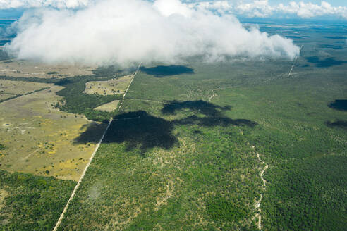 Luftaufnahme einer Straße durch den Wald in Queensland, Australien - GEMF02999