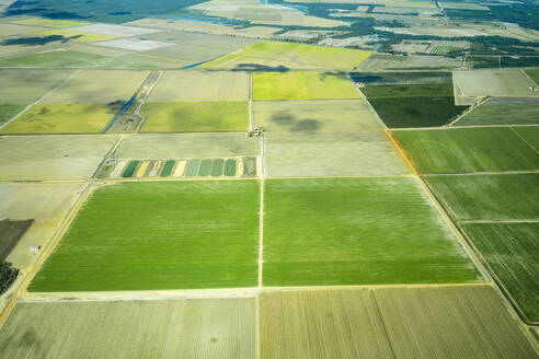 Luftaufnahme von bewirtschafteten grünen Feldern in Queensland, Australien - GEMF03002