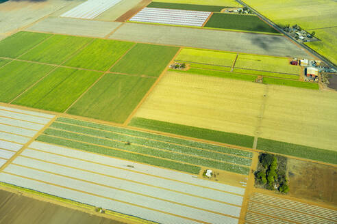 Aerial view of green cultivated fields and farms in Queensland, Australia - GEMF03005
