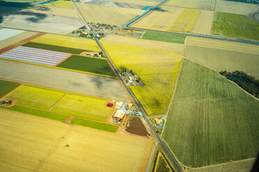 Luftaufnahme von grün bewirtschafteten Feldern, Farmen und einer Straße in Queensland, Australien - GEMF03006