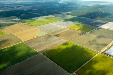 Aerial view of green fields cultivated in Queensland, Australia - GEMF03014