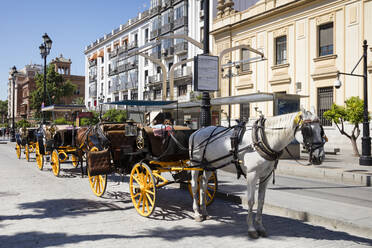 Pferdewagen auf der Straße in Andalusien, Spanien - WIF03973