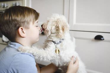 Junge spielt mit seinem Hund zu Hause - EYAF00336