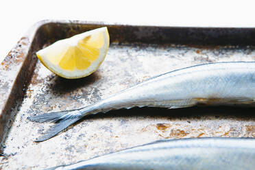 Close up of lemon and fish on baking sheet - BLEF12425