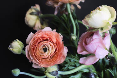 Close up of blooming flowers - BLEF12438