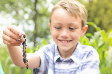 Kaukasischer Junge untersucht einen Wurm - BLEF12446