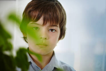 Caucasian boy standing behind plants indoors - BLEF12640