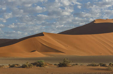 Sanddünen in der Wüstenlandschaft - BLEF12710