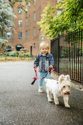 Gemischtrassiger Junge geht mit Hund auf dem Bürgersteig spazieren - BLEF12848