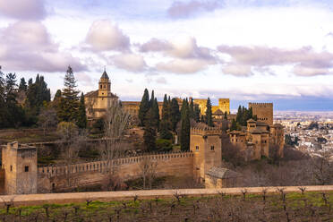 Blick auf die Alhambra-Palastanlage von Generallife, Granada, Spanien - TAMF01905