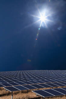 Sun shining over field of solar panels - BLEF13072