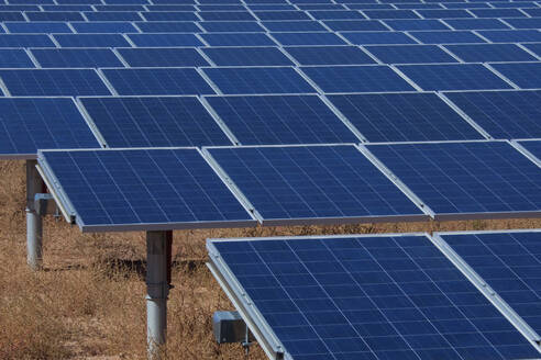 Close up of field of solar panels - BLEF13073