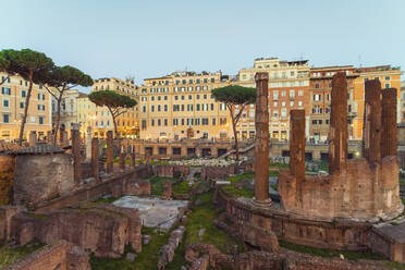 Largo di Torre Argentina, Archäologische Stätte, Rom, Italien - TAMF01959